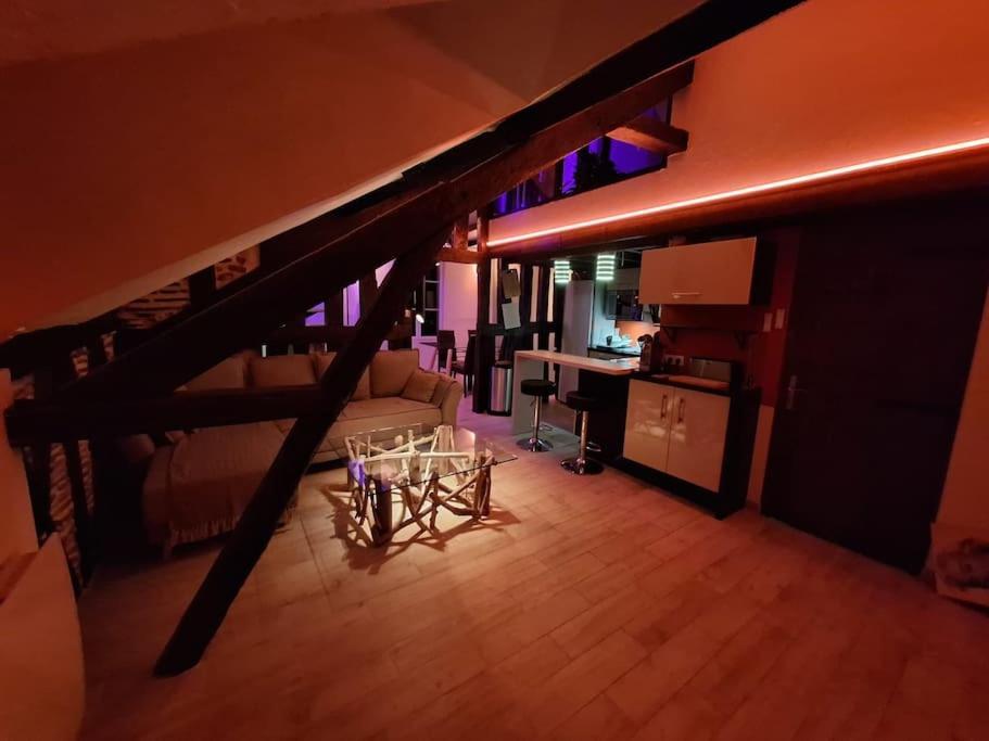 Appartement Le Perchoir De L'empereur Orléans